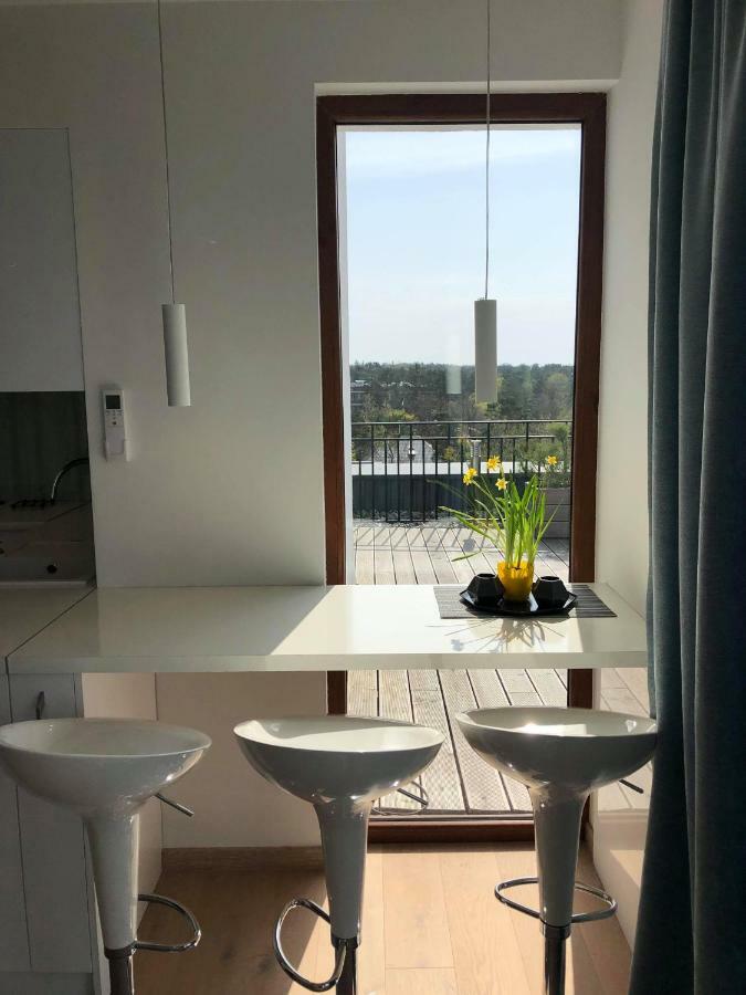 Sea View Penthouse Terrace Palanga Old Town Appartement Buitenkant foto